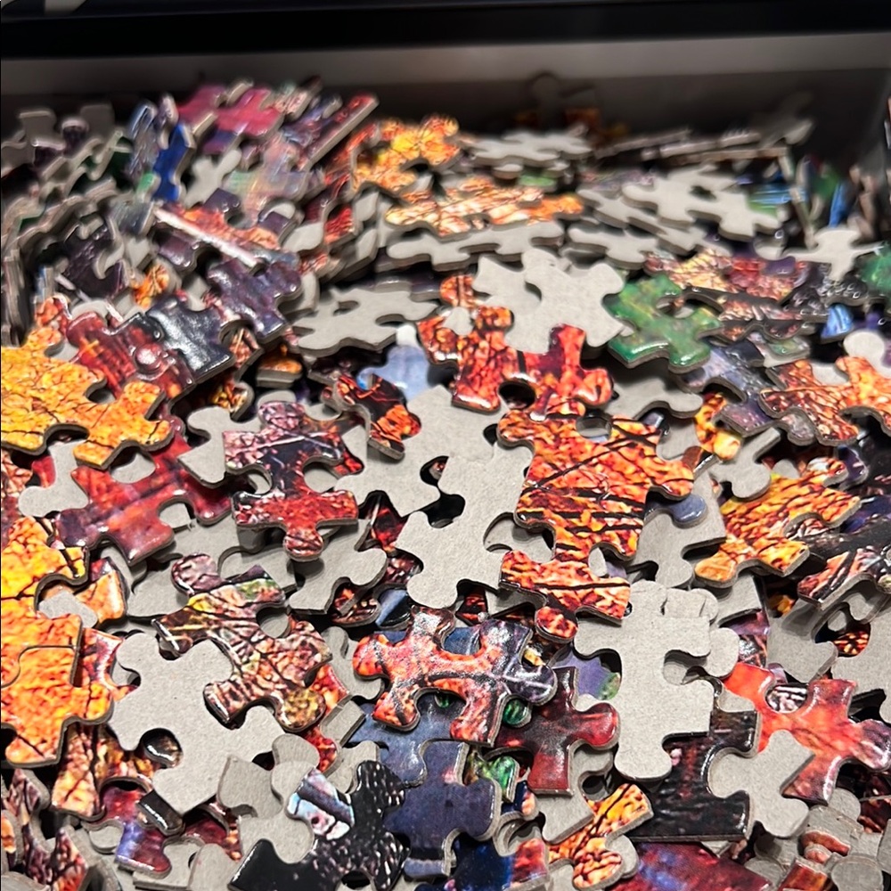 Mega Puzzles Vibrant Colorful Autumn Landscape 1000 Piece puzzle SALE🔴3/$25! - Picture 4 of 4